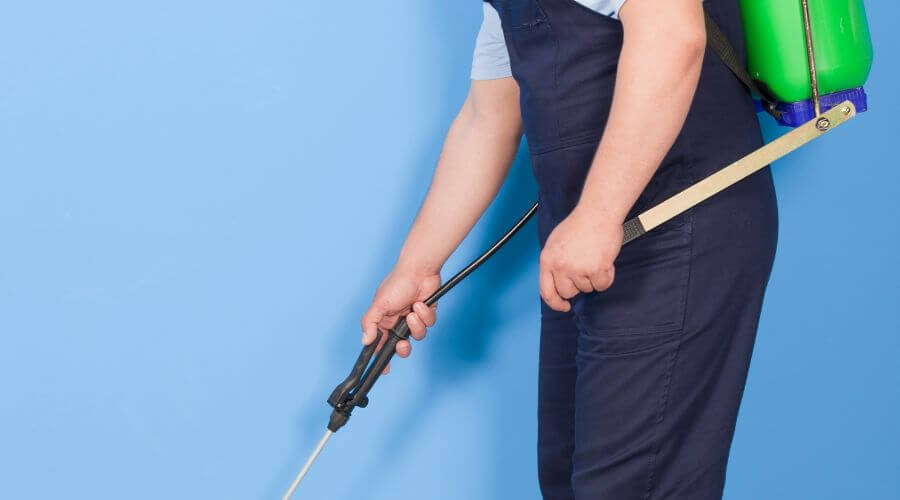 Why choose Wasp Nest Removal Friendly for wasp nest removal in Friendly